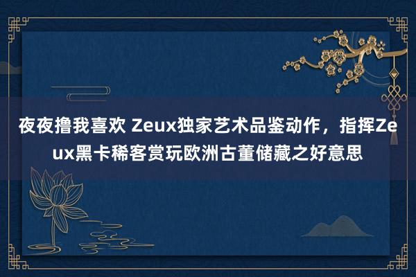 夜夜撸我喜欢 Zeux独家艺术品鉴动作，指挥Zeux黑卡稀客赏玩欧洲古董储藏之好意思