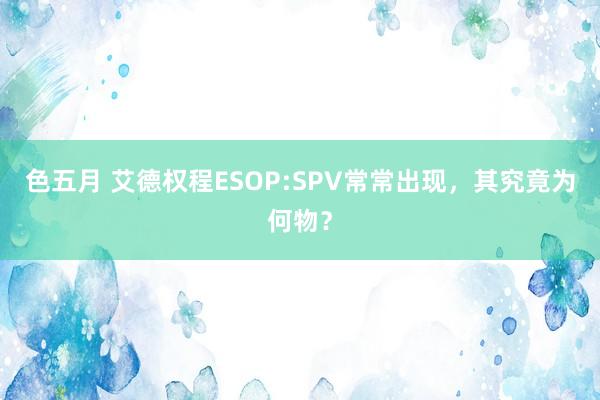 色五月 艾德权程ESOP:SPV常常出现，其究竟为何物？