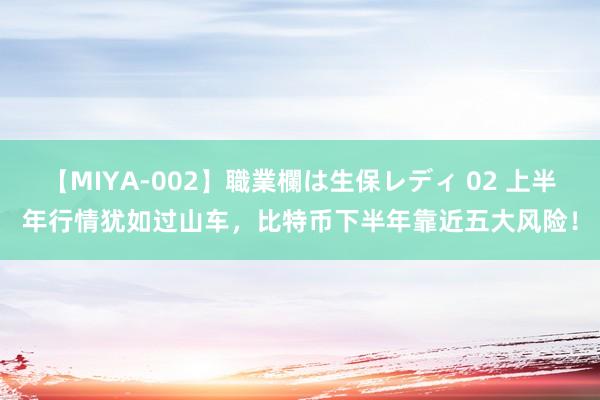 【MIYA-002】職業欄は生保レディ 02 上半年行情犹如过山车，比特币下半年靠近五大风险！