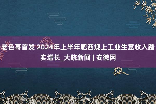 老色哥首发 2024年上半年肥西规上工业生意收入踏实增长_大皖新闻 | 安徽网