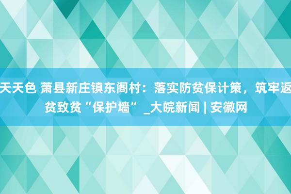 天天色 萧县新庄镇东阁村：落实防贫保计策，筑牢返贫致贫“保护墙” _大皖新闻 | 安徽网