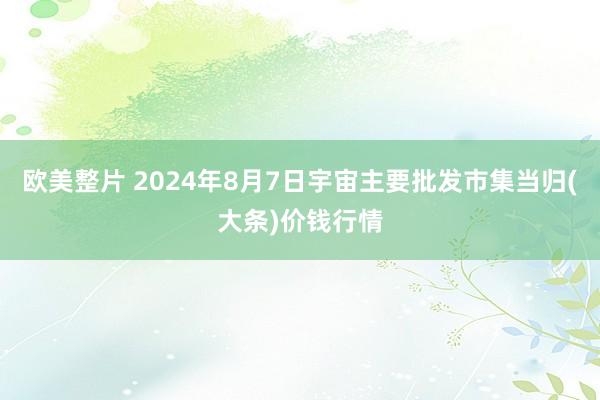 欧美整片 2024年8月7日宇宙主要批发市集当归(大条)价钱行情