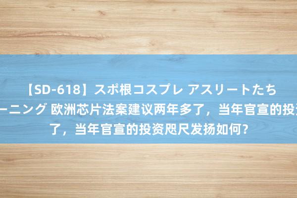 【SD-618】スポ根コスプレ アスリートたちの濡れ濡れトレーニング 欧洲芯片法案建议两年多了，当年官宣的投资咫尺发扬如何？