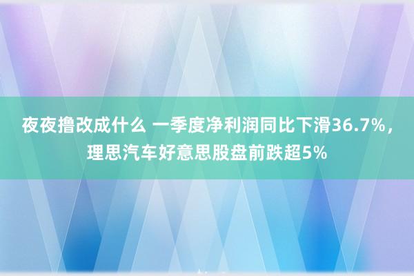 夜夜撸改成什么 一季度净利润同比下滑36.7%，理思汽车好意思股盘前跌超5%