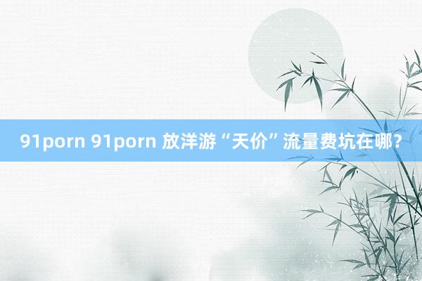 91porn 91porn 放洋游“天价”流量费坑在哪？