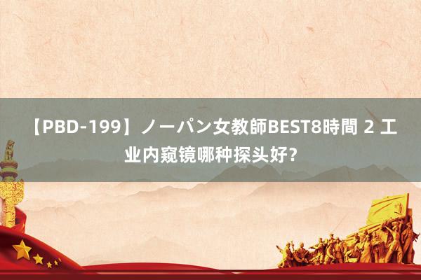 【PBD-199】ノーパン女教師BEST8時間 2 工业内窥镜哪种探头好？