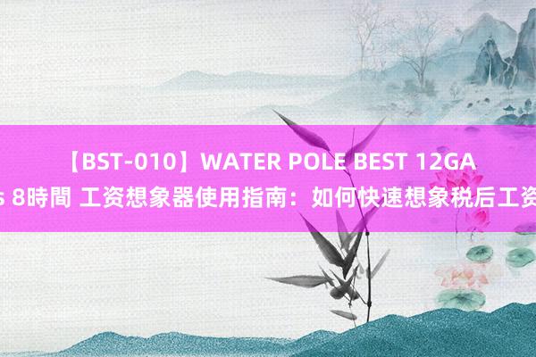 【BST-010】WATER POLE BEST 12GALs 8時間 工资想象器使用指南：如何快速想象税后工资？