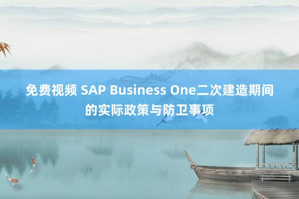 免费视频 SAP Business One二次建造期间的实际政策与防卫事项