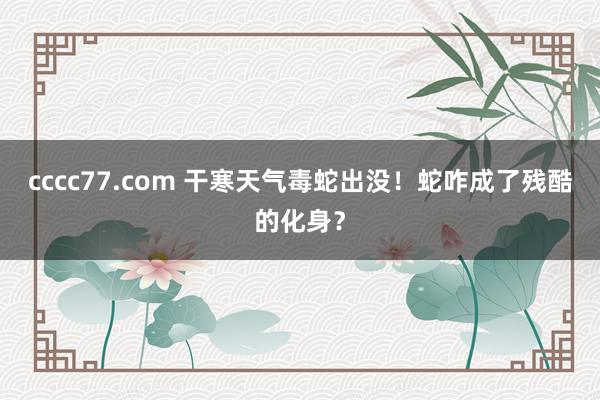 cccc77.com 干寒天气毒蛇出没！蛇咋成了残酷的化身？