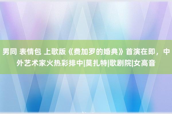 男同 表情包 上歌版《费加罗的婚典》首演在即，中外艺术家火热彩排中|莫扎特|歌剧院|女高音